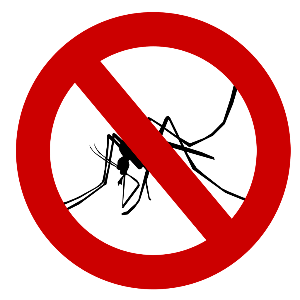 interdiction au virus zika