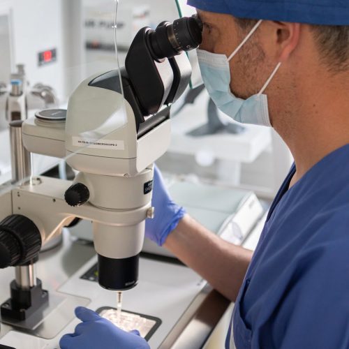 biologiste qui regarde au microscope